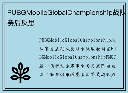 PUBGMobileGlobalChampionship战队赛后反思