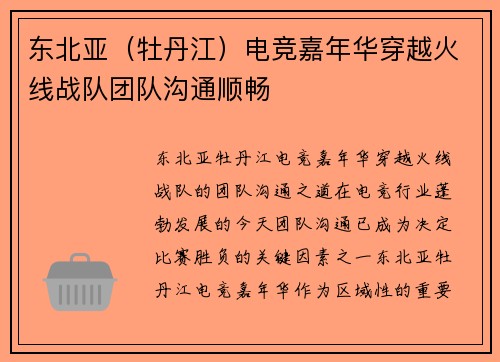 东北亚（牡丹江）电竞嘉年华穿越火线战队团队沟通顺畅